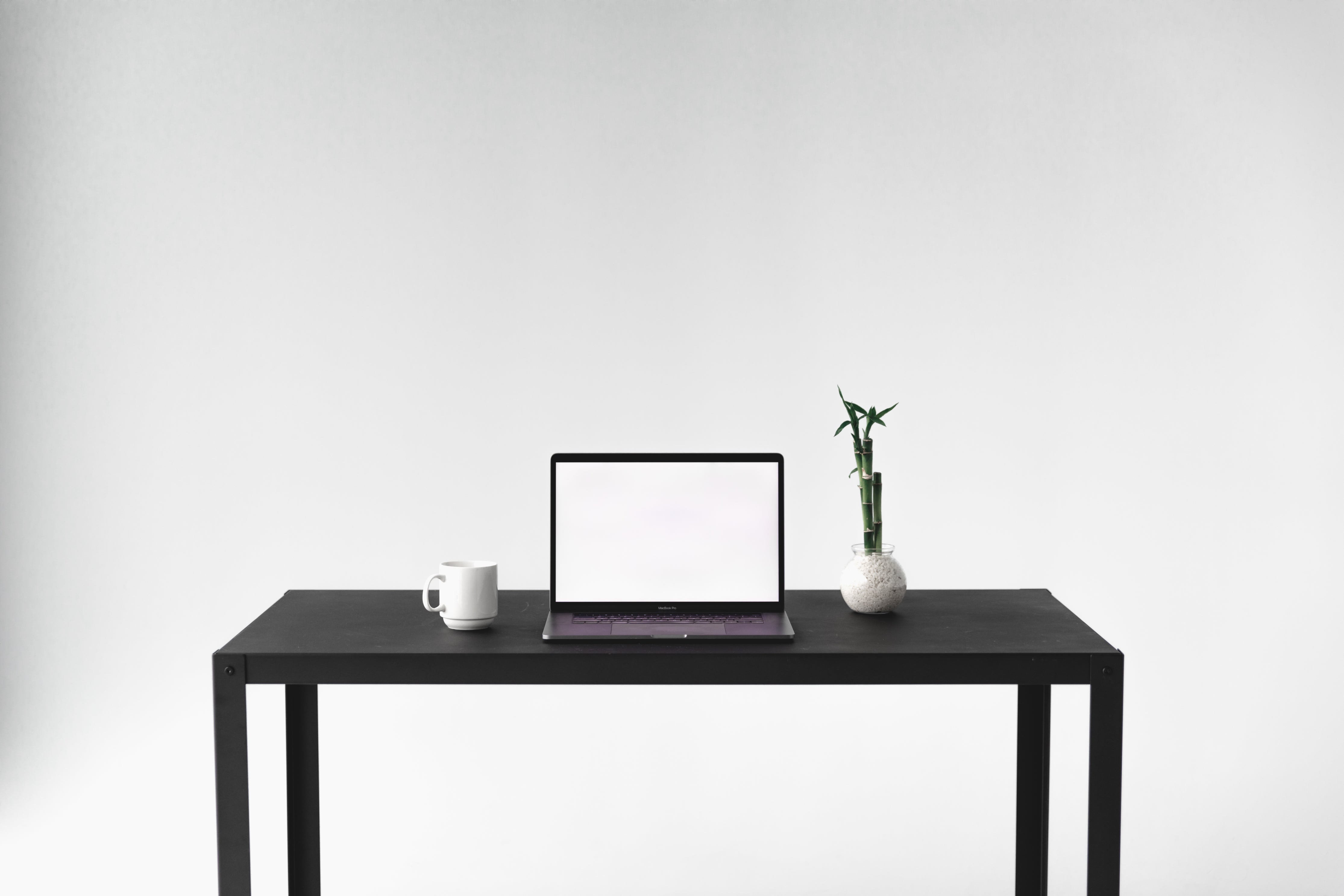 WordPress Setup